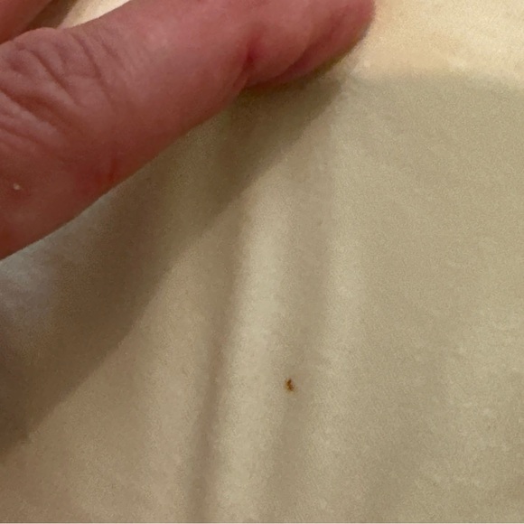 NWT PROJECT KARMA Stay Wild Flower Child Tee Shirt Small - Picture 9 of 9